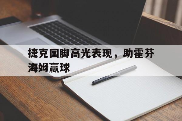 捷克国脚高光表现，助霍芬海姆赢球